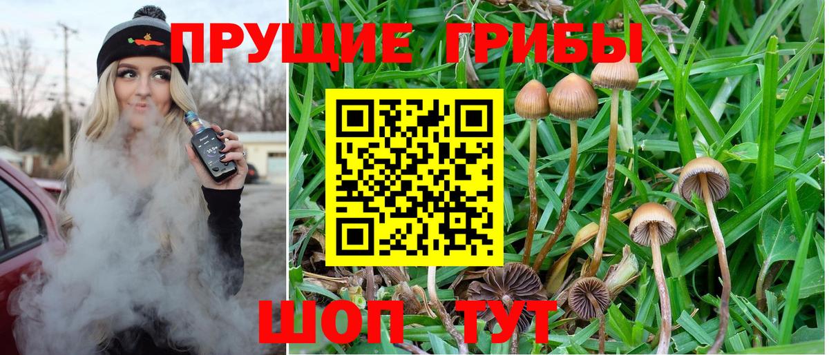 Псилоцибиновые грибы Cubensis Ангарск