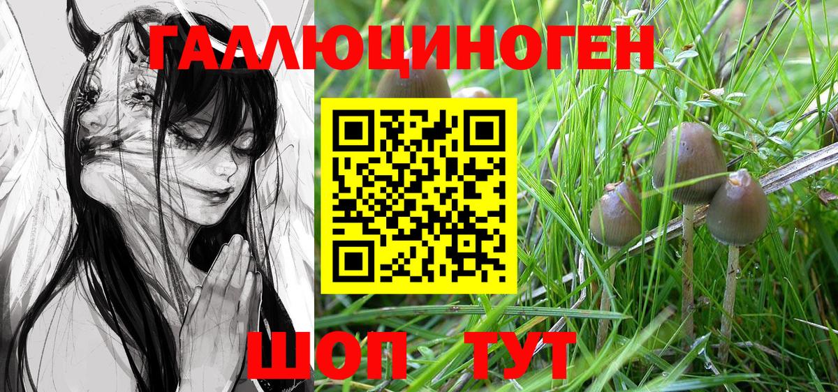 Ангарск  Псилоцибиновые грибы GOLDEN TEACHER  Вход с VPN 